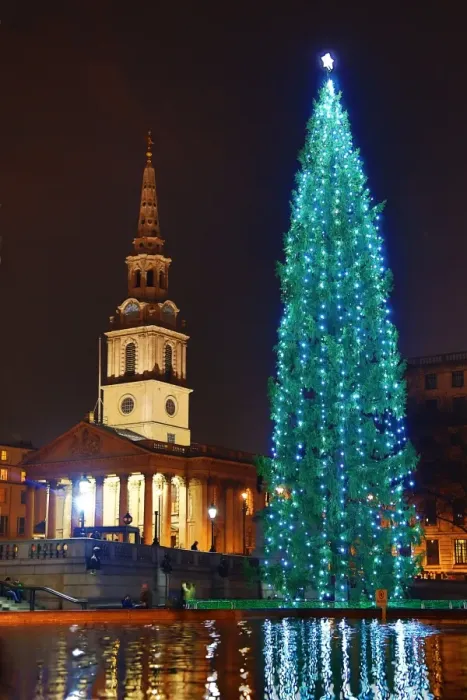  : Trafalgar Square Christmas Tree, Trafalgar Square, London