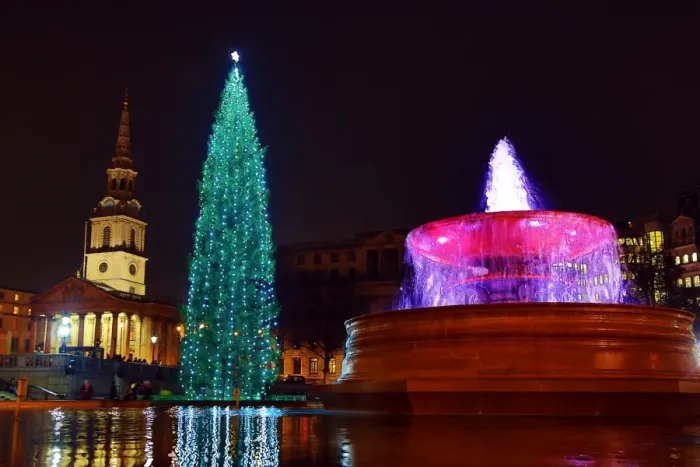  : Trafalgar Square Christmas Tree and reflection, Trafalgar Square, London