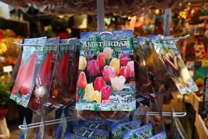  : Tulip Bulb souvenirs at the Flower Market in Amsterdam, Holland