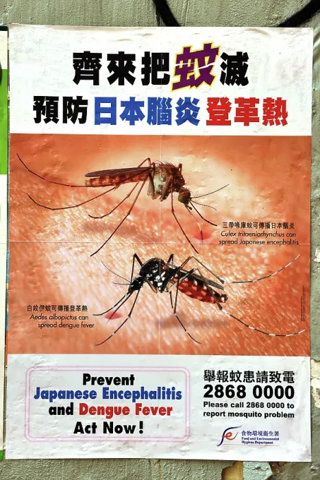  : Warning poster with mosquitoes warning against Japanese Encephalitis and Dengue Fever in Kowloon, Hong Kong, China