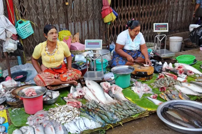  : Women selling fish in a street market, Yangon, Myanmar