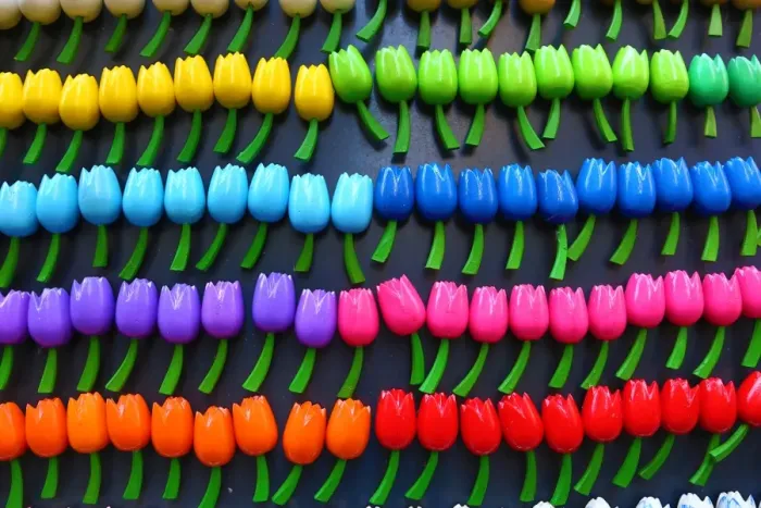  : Wooden tulip flowers fridge magnets on sale in the flower market in Amsterdam, Holland
