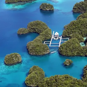 Aerial view of islands and Dolpjins of the Pacific, Republic of Palau, Micronesia