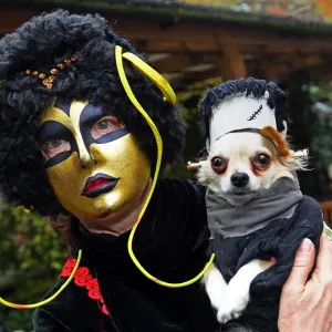 Prints of : ADM Halloween Dog Walk