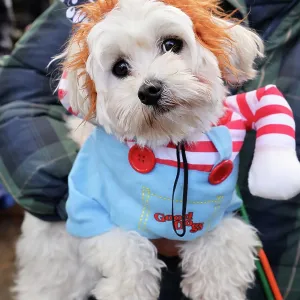 All Dogs Matter Howloween Dog Walk, Hampstead Heath, London
