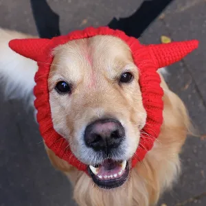 All Dogs Matter Howloween Dog Walk, Hampstead Heath, London