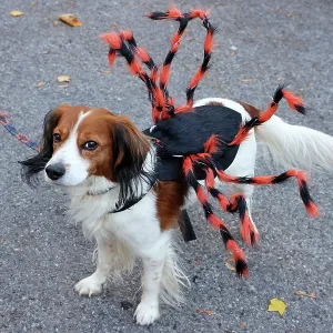 All Dogs Matter Howloween Dog Walk, Hampstead Heath, London