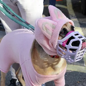 All Dogs Matter Howloween Dog Walk, Hampstead Heath, London