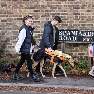 All Dogs Matter Howloween Dog Walk, Hampstead Heath, London