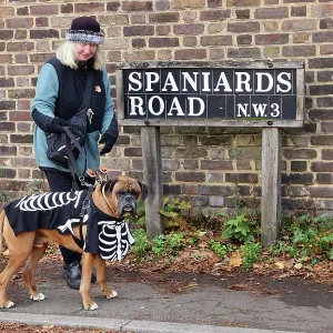 All Dogs Matter Howloween Dog Walk, Hampstead Heath, London