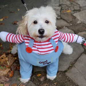 Prints of : ADM Howloween Dog Walk