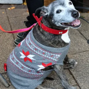 Prints of : ADM Santa Paws Christmas Fair