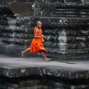 Angkor 2016