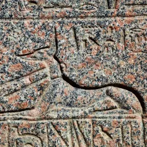 Anubis hieroglyphics at the Memphis Museum, Cairo, Egypt