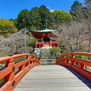 Bentendo Hall at Daigoji Buddhist Temple with cherry blossom in Kyoto, Japan