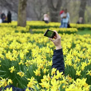 Prints of : Spring in London