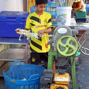 Boy making Durian juice in the street by squeezing the fruit, Yangon, Myanmar