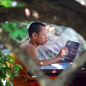 Buddhist monk reading a book at Vat Sop Sickharam temple, Luang Prabang, Laos