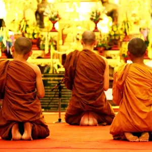 Buddhist monks praying at Wat Chedi Luang in Chiang Mai, Thailand