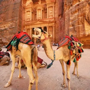 Camels at the Treasury, Al-Khazneh, Petra, Jordan