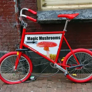 Childs bicycle advertising, Magic Mushroom drugs in Amsterdam, Holland