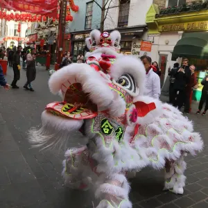 Prints of : Chinese New Year 2019