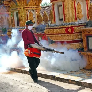 Cleansing the temple of insects with smoke near Wat That Luang Temple, Vientiane, Laos Cleansing the temple of insects with smoke near Wat That Luang Temple, Vientiane, Laos