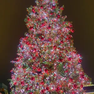Covent Garden Market Christmas Decorations and Lights, London, England
