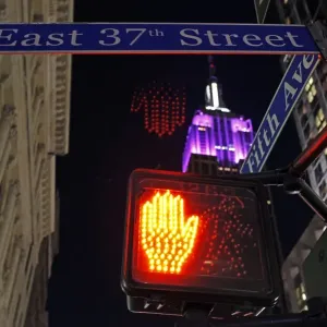 Empire State Building in New York