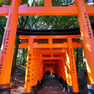 Fushimi Inari shrine red torii gate tunnel in Kyoto, Japan