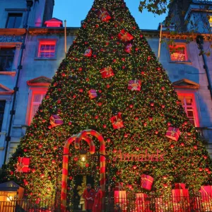 Giant Christmas tree decoration outside Annabels, Berkeley Square, London