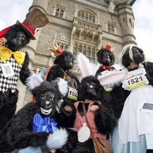 Great Gorilla Run, London