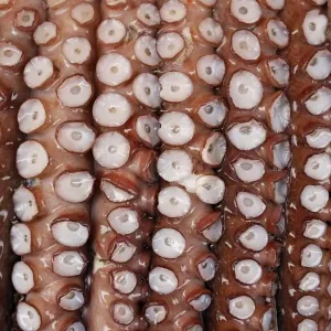 Jagalchi Fish Market in Busan, South Korea