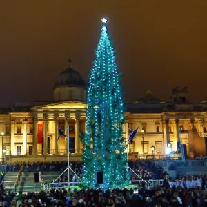 Lighting of the Trafalgar Square Christmas Tree in London