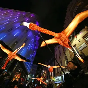Prints of : Lumiere 2018