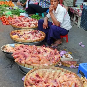 Man selling chicken in a street market, Yangon, Myanmar