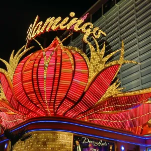 Neon lights of the Flamingo Hotel and Casino at night, Las Vegas, Nevada, America