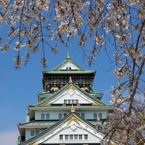 Osaka Castle seen through cherry blossom trees in Osaka, Japan
