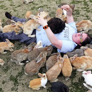 Rabbits on Okunoshima Island
