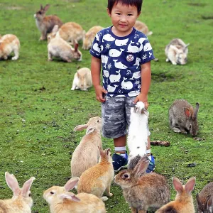 Rabbits on Okunoshima Island