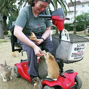 Rabbits on Okunoshima Island