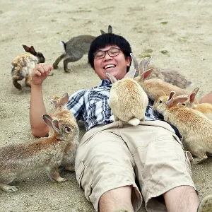 Rabbits on Okunoshima Island