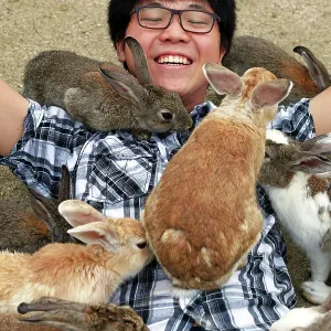 Rabbits on Okunoshima Island