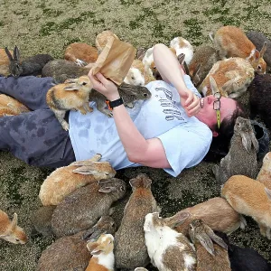Rabbits on Okunoshima Island