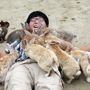 Rabbits on Okunoshima Island