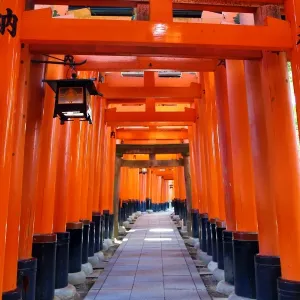 Red torii gate tunnel at Fushimi Inari Shinto shrine in Kyoto, Japan