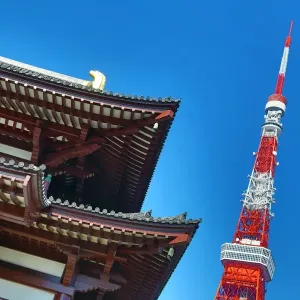 Roof of the Daiden (Hondo) the main hall of Zojoji Temple and the Tokyo Tower in Tokyo