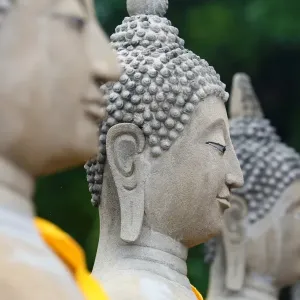 Row of Buddha statues at Wat Yai Chaimongkol Temple, Ayutthaya, Thailand