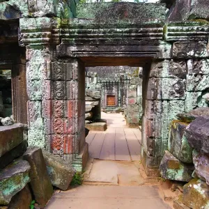 Ruins at Ta Prohm Temple, Angkor, Siem Reap, Cambodia