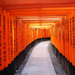 Senbon red Torii gate tunnel, Fushimi Inari shrine, Kyoto, Japan